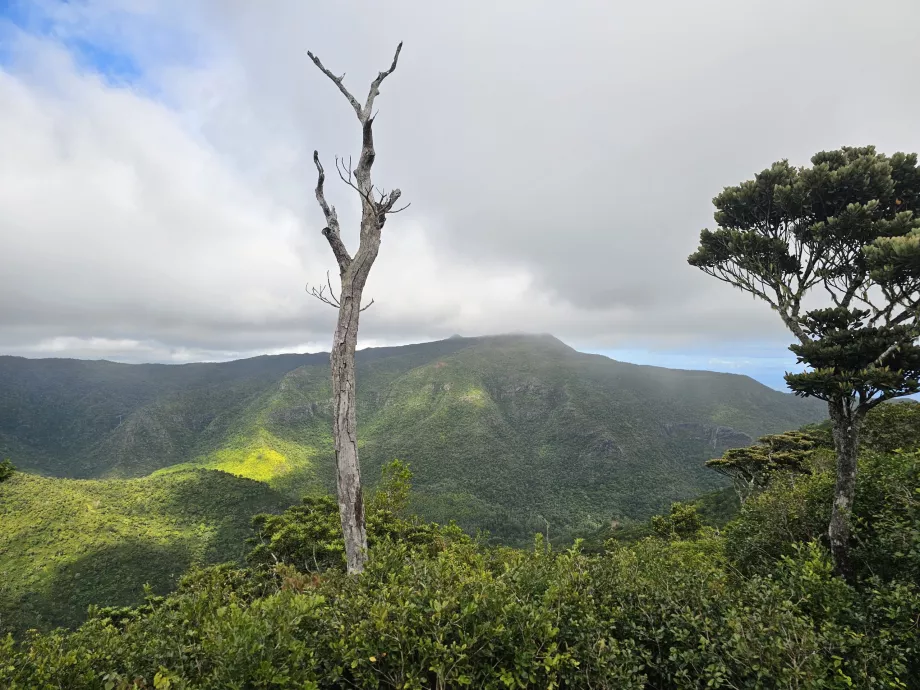 Machabee Loop'tan görünüm