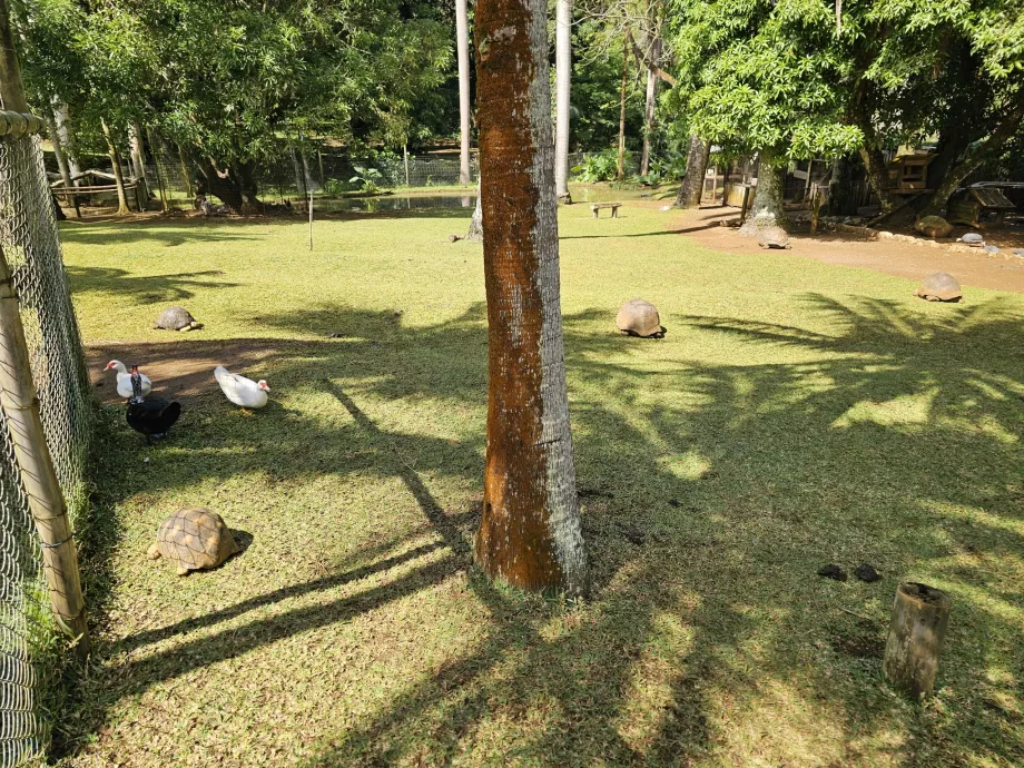 Saint Aubin, mini çiftlik