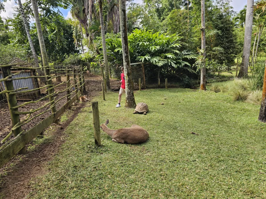 Saint Aubin, mini çiftlik