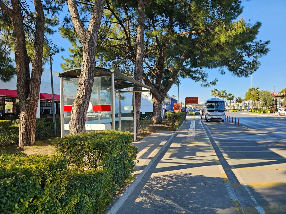 Terminal 1'in önündeki şehir içi otobüs durağı