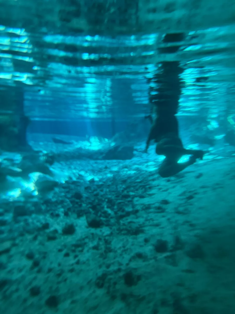 Gran Cenote'de su altından bir manzara