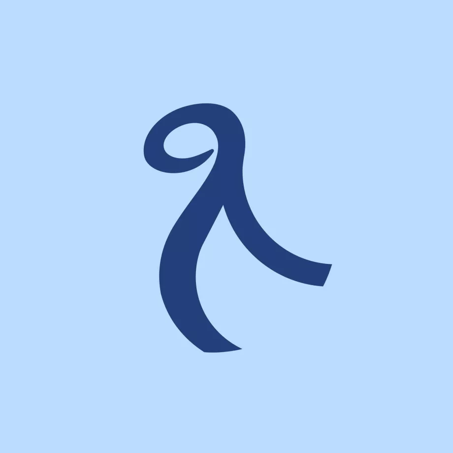 Norse Atlantic Airways logosu