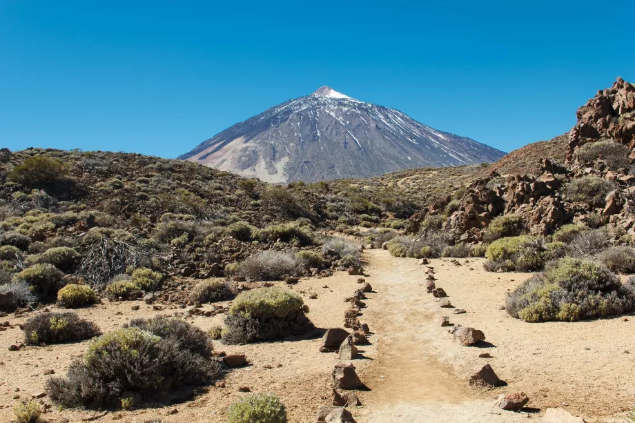 Pico del Teide'ye giden yol