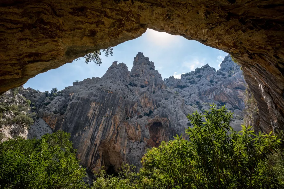 Gorrop ile