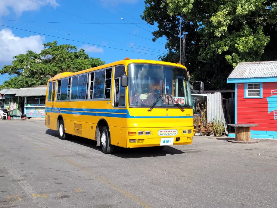 Minibüs Barbados
