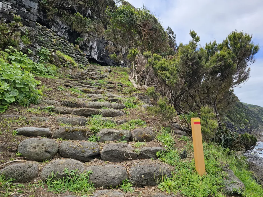 Pico Adası'ndaki yürüyüş parkuru