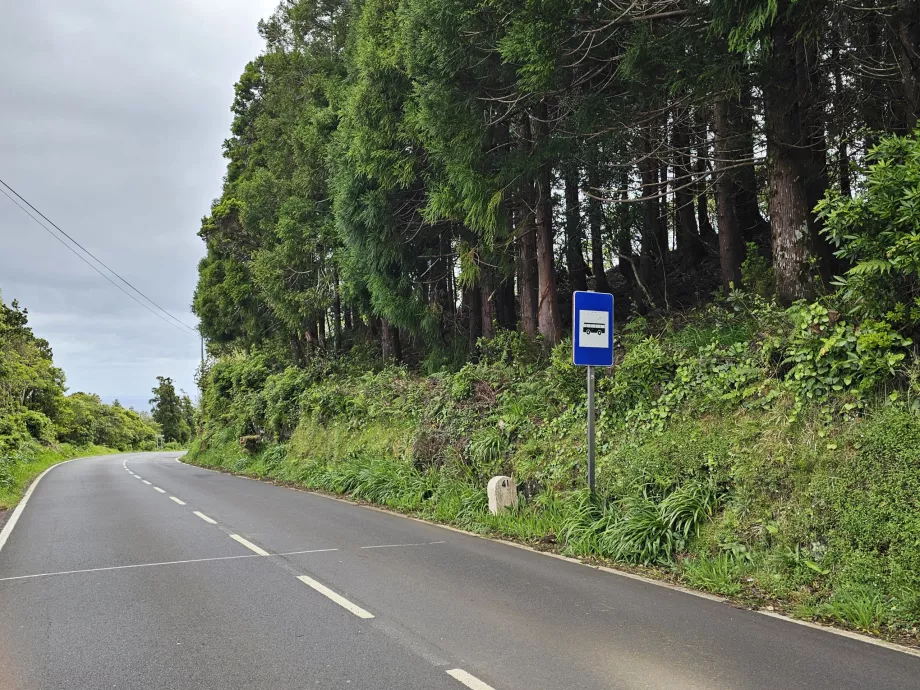 Otobüs durağı, Pico Adası