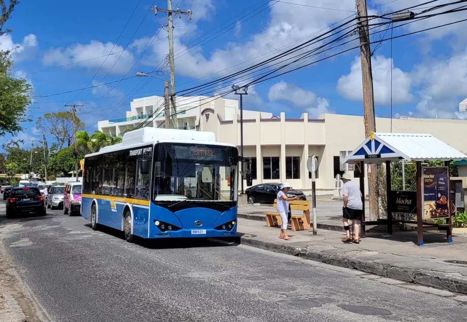 Otobüs Barbados