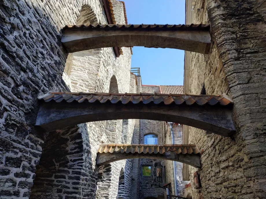 Aziz Catherine Geçidi