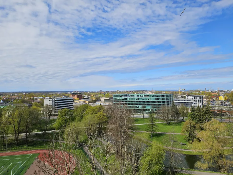 Piiskopiaia bakış açısı