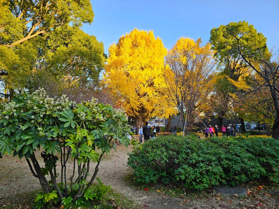 Ueno Parkı