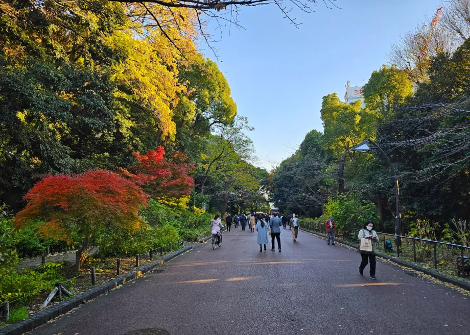 Ueno Parkı