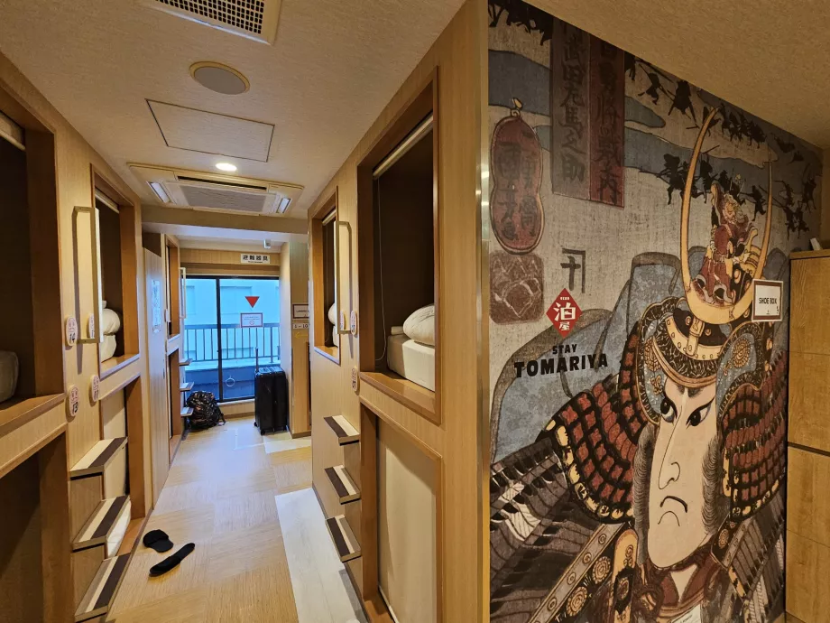 Ortak alan ve yukarıdaki kapsül