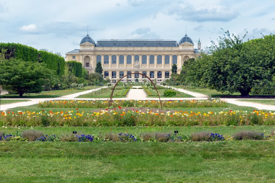 Jardin des Plantes'deki Doğa Tarihi Müzesi