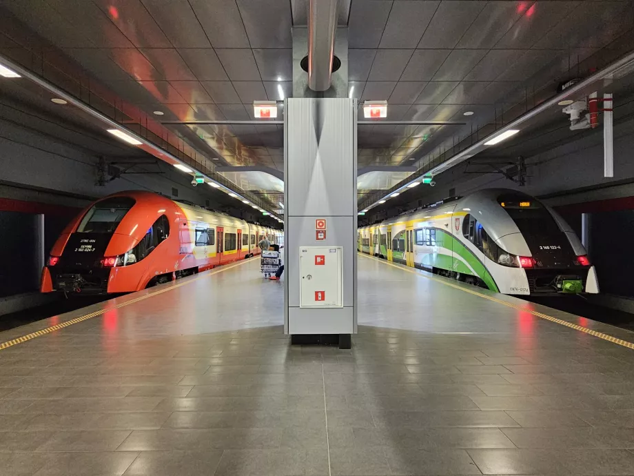 Tren peronları – solda, S hattındaki (SKM) bir tren; sağda, RL hattındaki bir tren