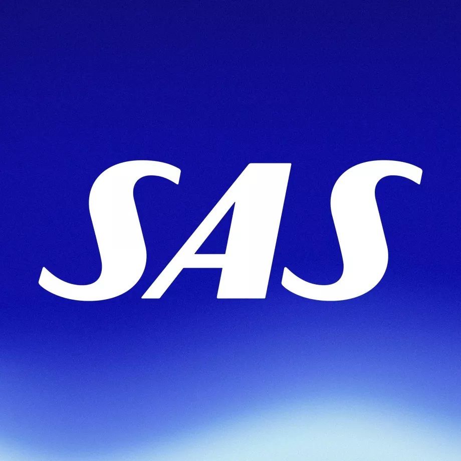 SAS Logosu
