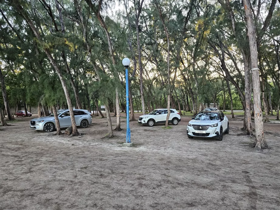 Mon Choisy plajında park yeri