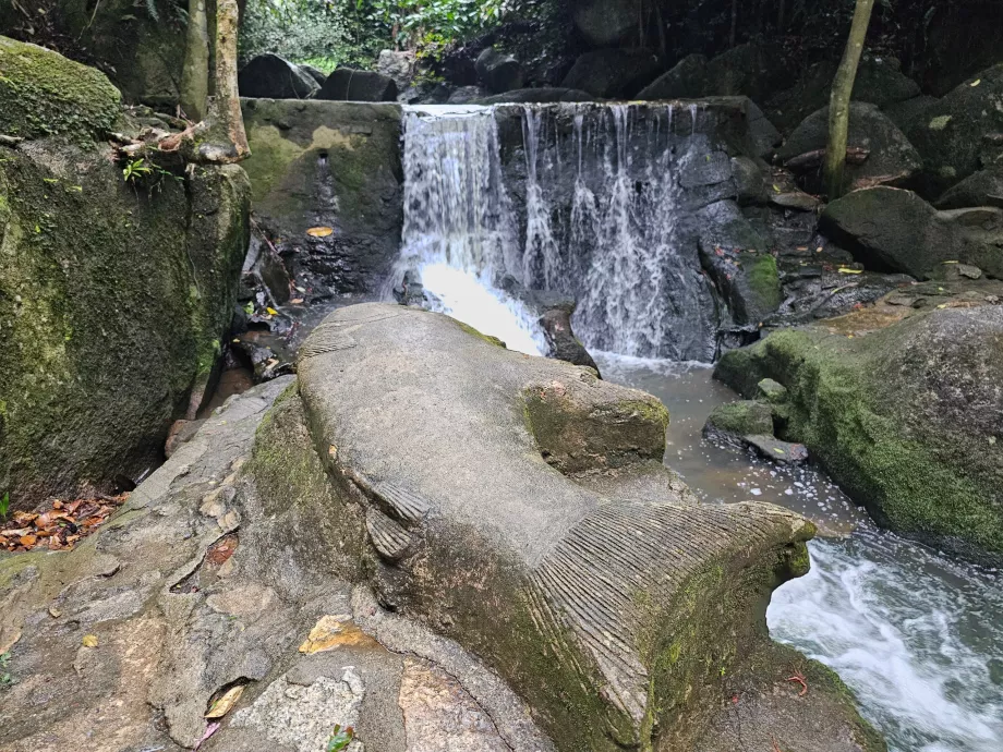 Tamrin Sihirli Bahçe