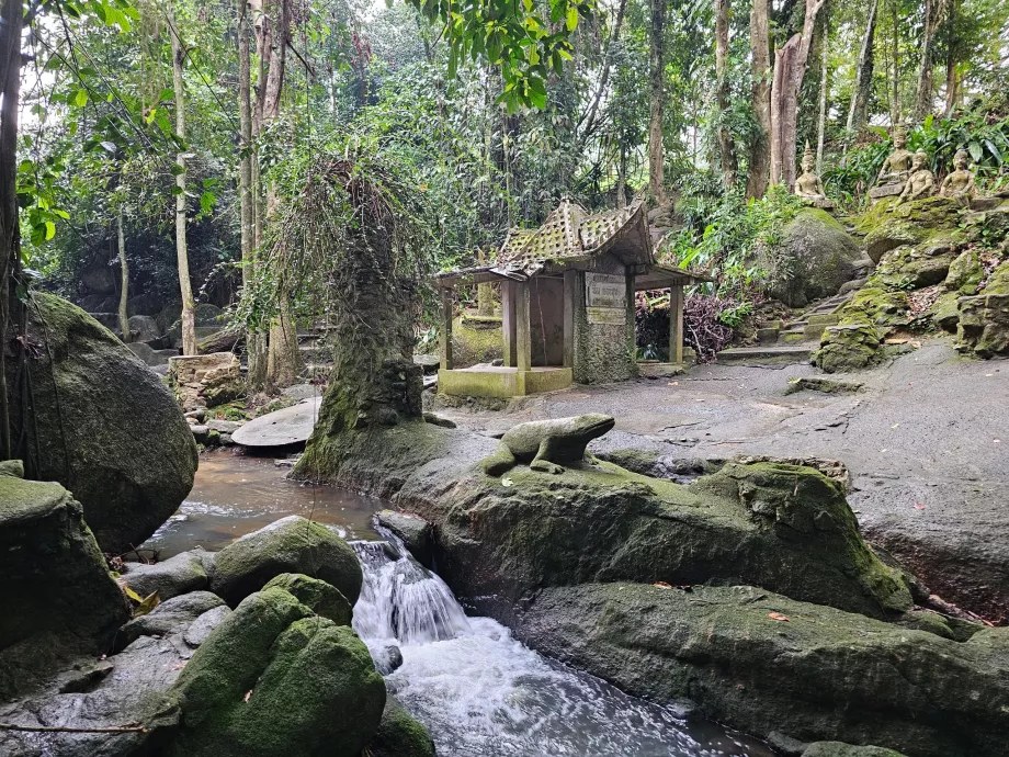 Tamrin Sihirli Bahçe