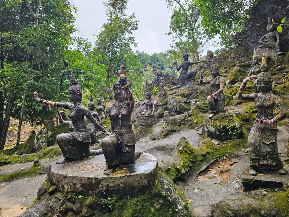 Tamrin Sihirli Bahçe