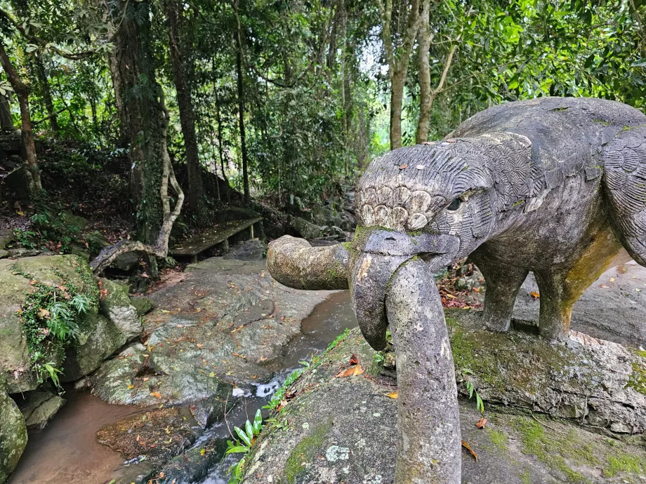 Tamrin Sihirli Bahçe