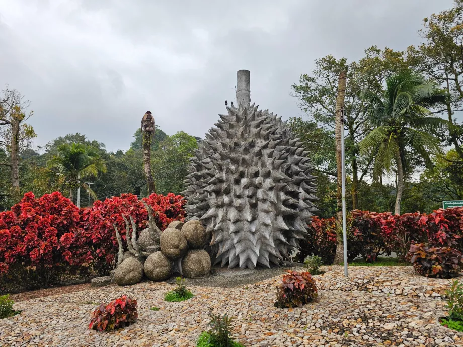 Sihirli Taş Meyveler