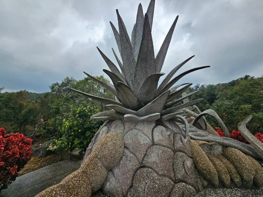 Sihirli Taş Meyveler