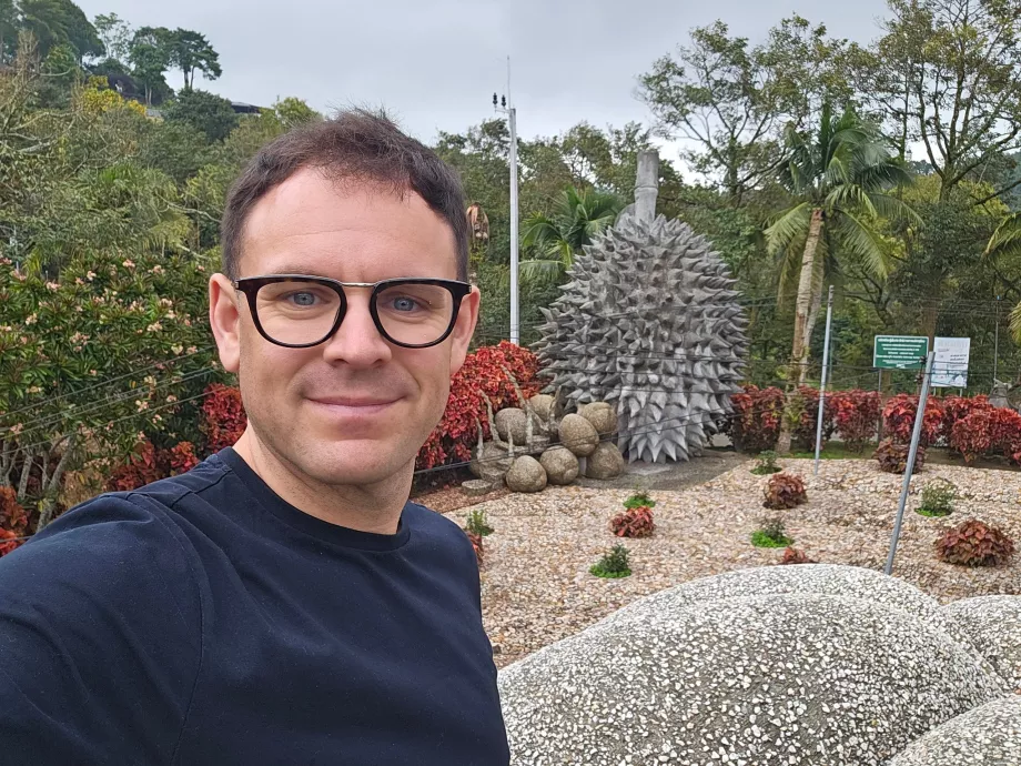 Sihirli Taş Meyveler