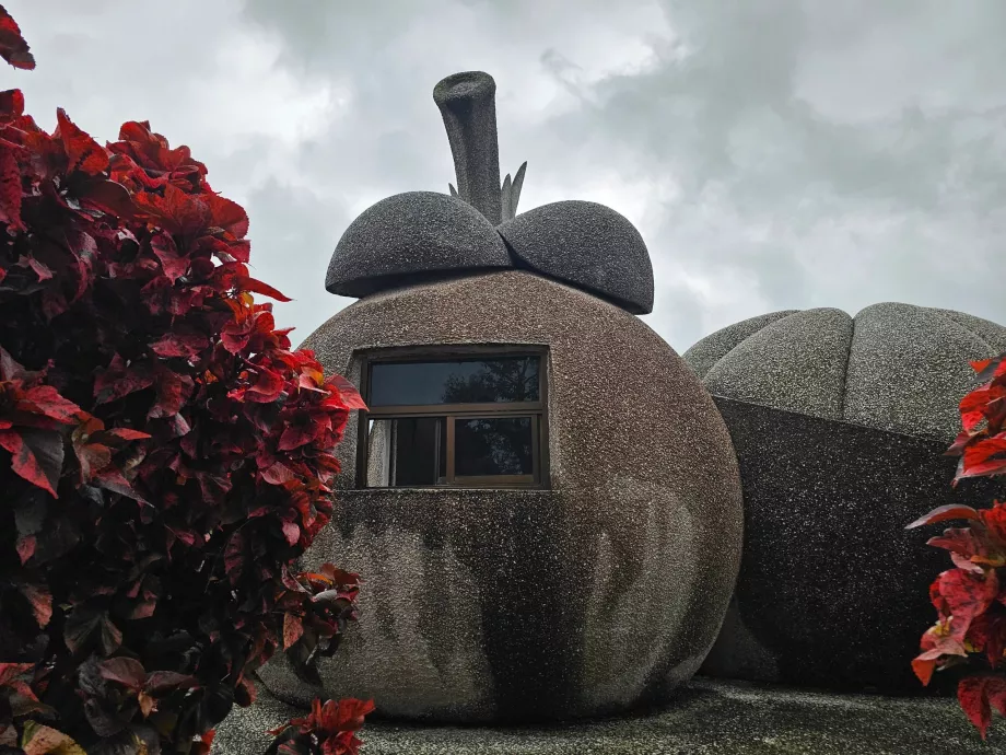 Sihirli Taş Meyveler