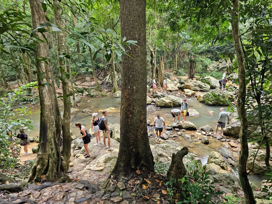 Na Muang Şelalesi 1