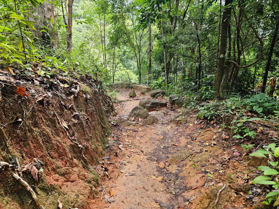Namuang Şelalesi'ne giden yol 2