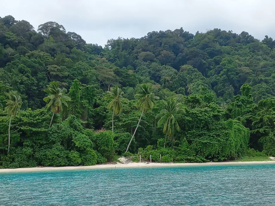 Teluk Pauh Plajı, Perhentiany, Malezya