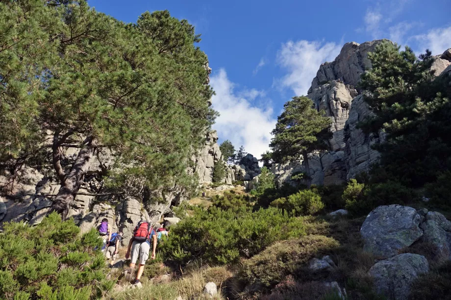 Bavella Turizmi
