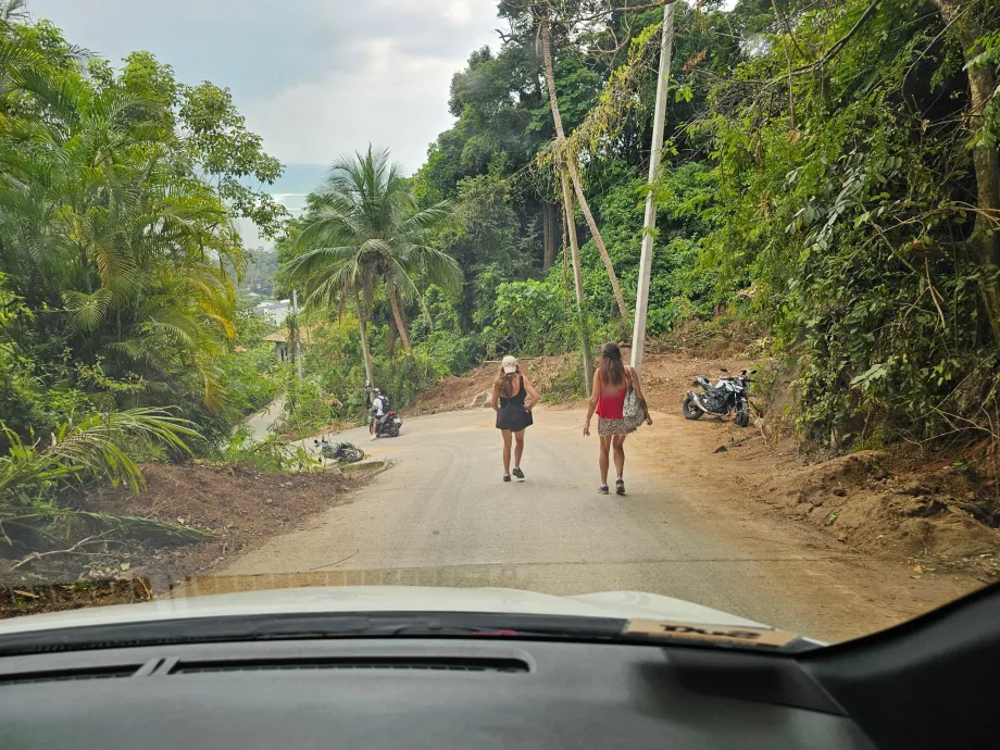 Dik Tepe - Örtüşme Taşlarına giden yol