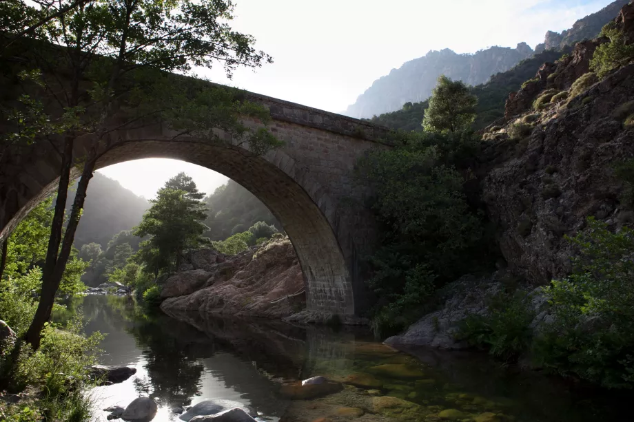 Spelunca Nehri
