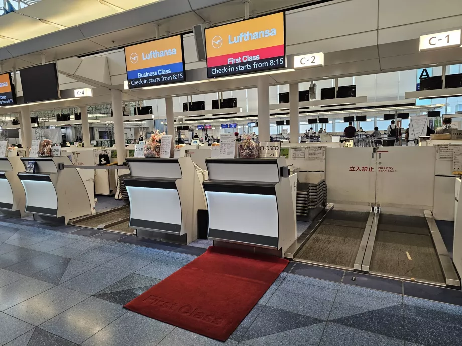 Haneda Havalimanı'nda Check-in