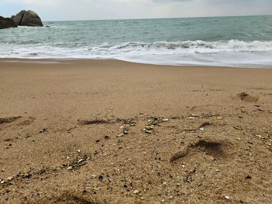 Coral Cove Plajı, kum kalitesi