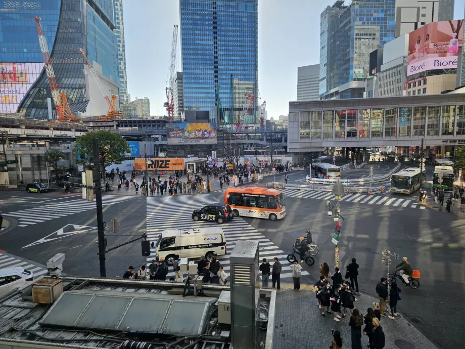Starbucks'tan Shibuya Kavşağı