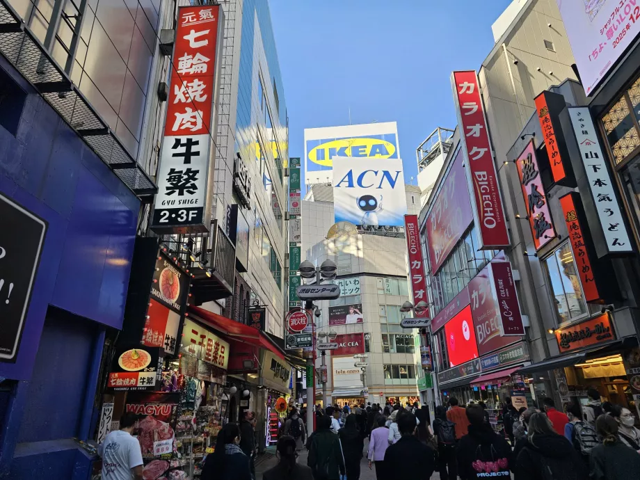 Shibuya Alışveriş Caddesi