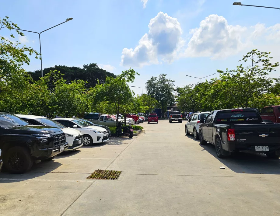 Marinada park etme, kiralık araç teslim alma