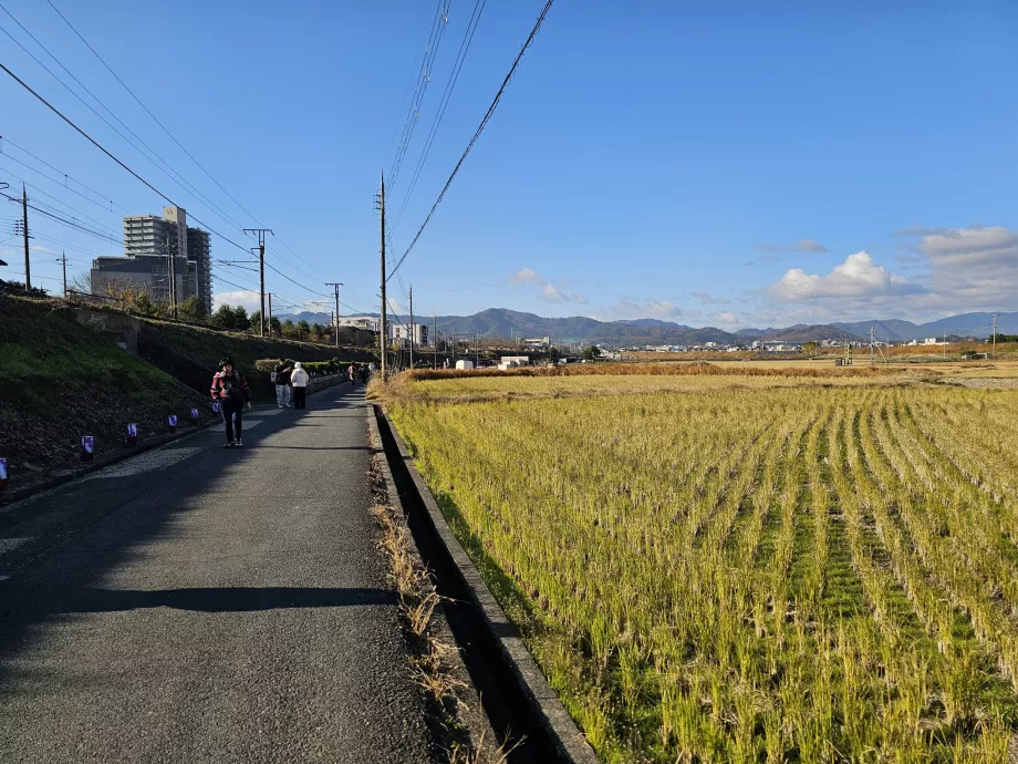 İstasyondan tekneye kadar yürüyün