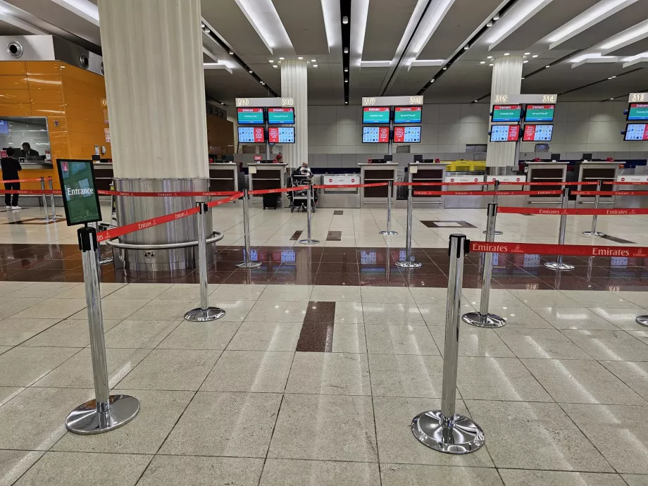 Havaalanı Check-in
