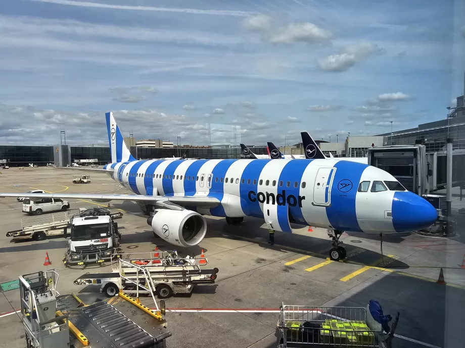 Mavi Airbus A320 Condor