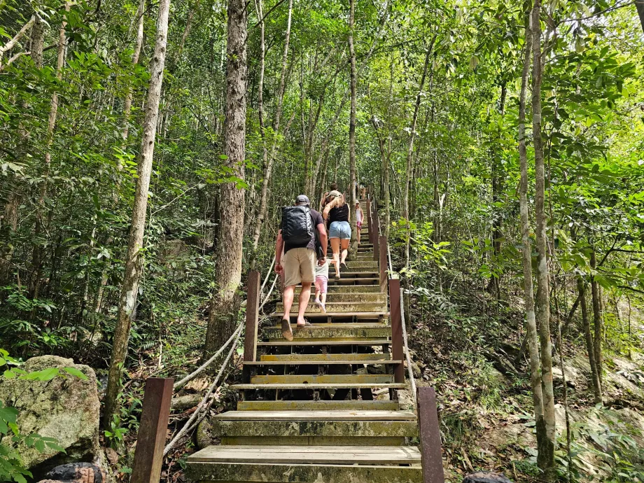 Şelalelere giden yol