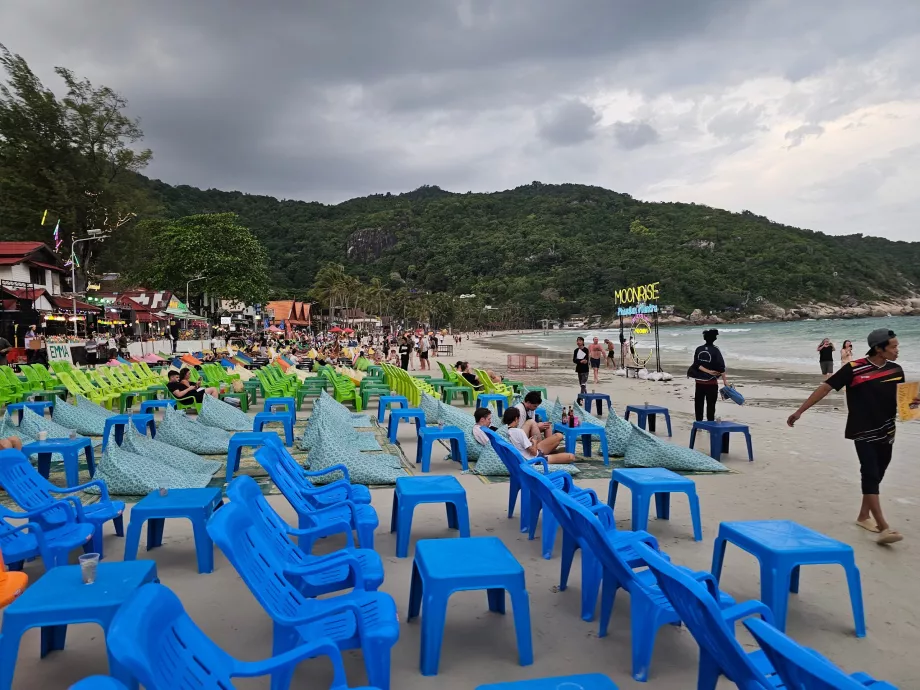 Dolunay Partisi için hazırlıklar - öğleden sonra