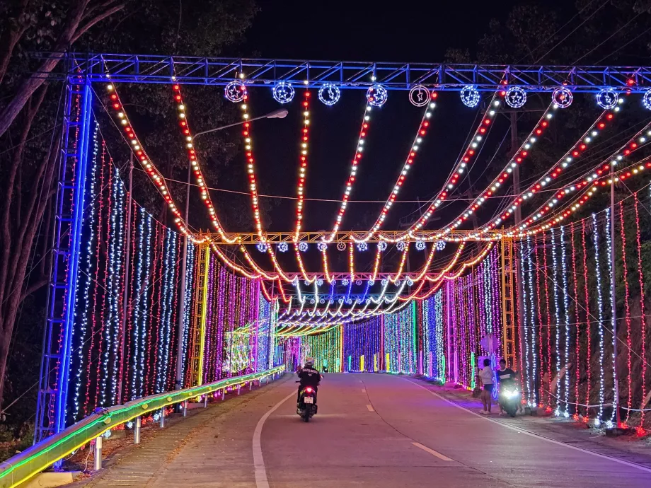 Dolunay Partisi'nden ayrılış
