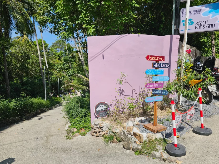 Gizli Plaj'a giden yol