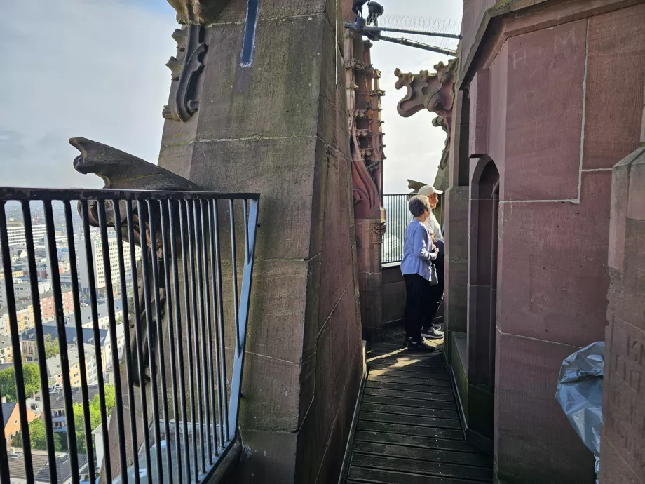 Domturm'dan Görünüm