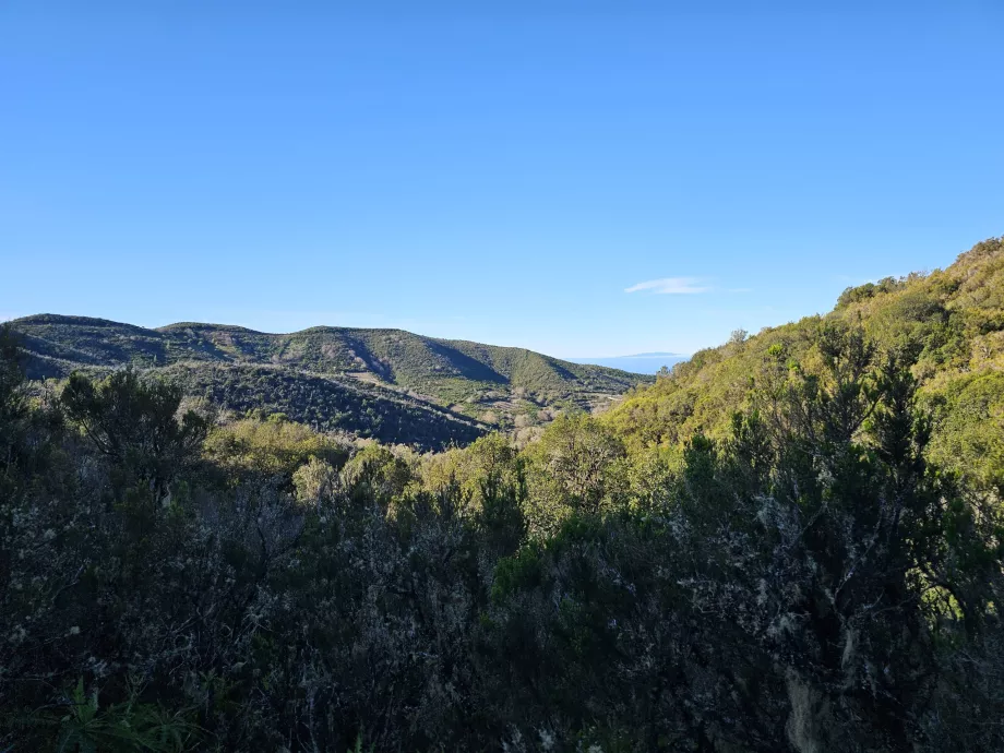 Laguna Grande çevresinde manzara