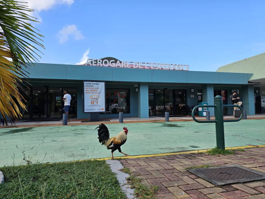 Grand Case Havalimanı Terminali